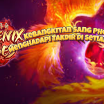 Kebangkitan Sang Phoenix: Menghadapi Takdir di Setiap Putaran